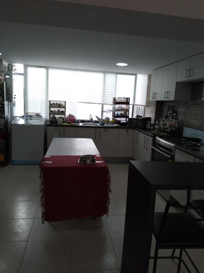 Charming Sunny Bedroom Overlooking Beautiful Amsterdam Avenue In Best Condesa Area Мехико Экстерьер фото