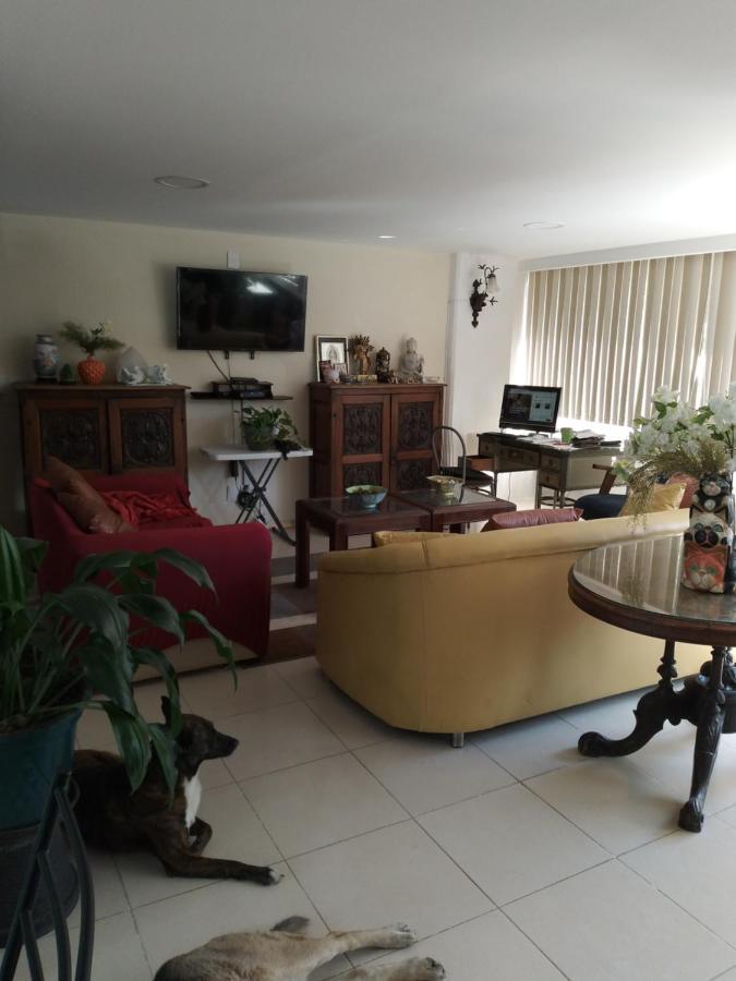 Charming Sunny Bedroom Overlooking Beautiful Amsterdam Avenue In Best Condesa Area Мехико Экстерьер фото