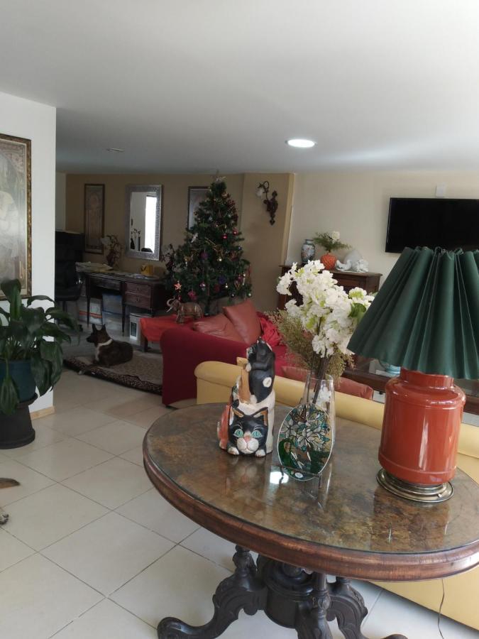 Charming Sunny Bedroom Overlooking Beautiful Amsterdam Avenue In Best Condesa Area Мехико Экстерьер фото
