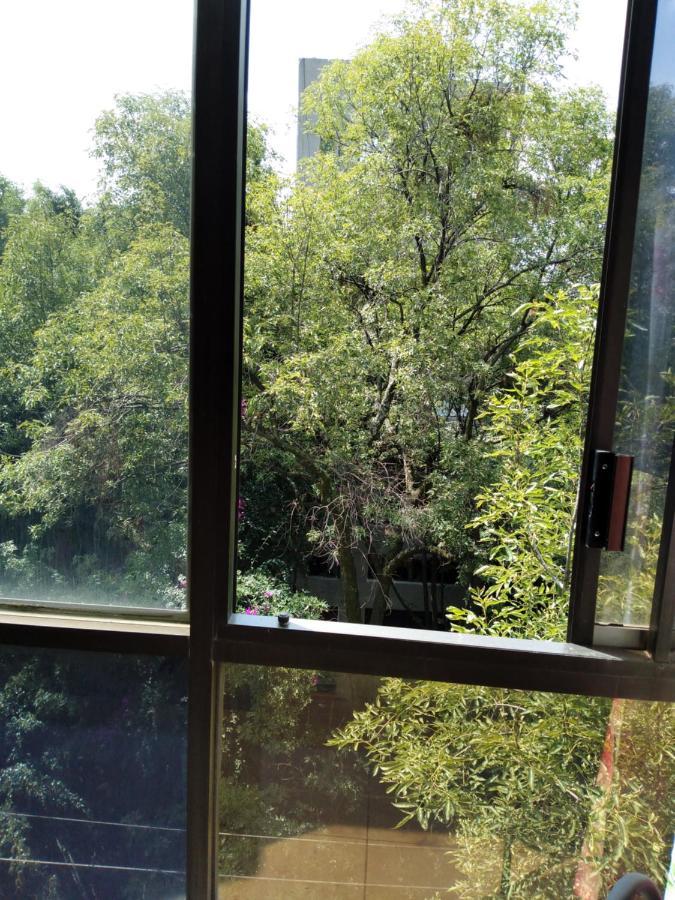 Charming Sunny Bedroom Overlooking Beautiful Amsterdam Avenue In Best Condesa Area Мехико Экстерьер фото