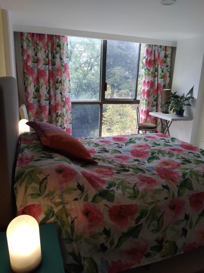 Charming Sunny Bedroom Overlooking Beautiful Amsterdam Avenue In Best Condesa Area Мехико Экстерьер фото