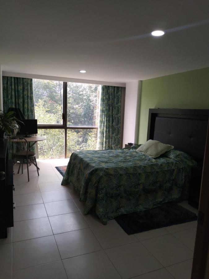 Charming Sunny Bedroom Overlooking Beautiful Amsterdam Avenue In Best Condesa Area Мехико Экстерьер фото