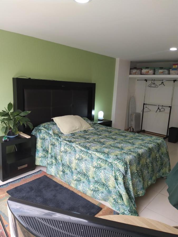 Charming Sunny Bedroom Overlooking Beautiful Amsterdam Avenue In Best Condesa Area Мехико Экстерьер фото