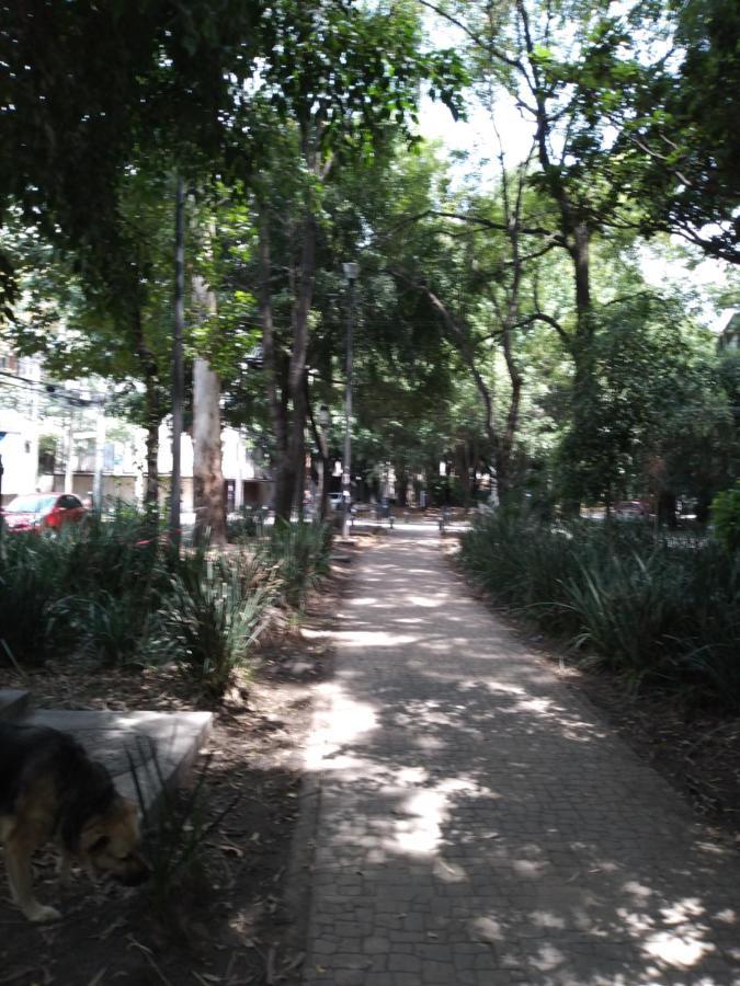 Charming Sunny Bedroom Overlooking Beautiful Amsterdam Avenue In Best Condesa Area Мехико Экстерьер фото