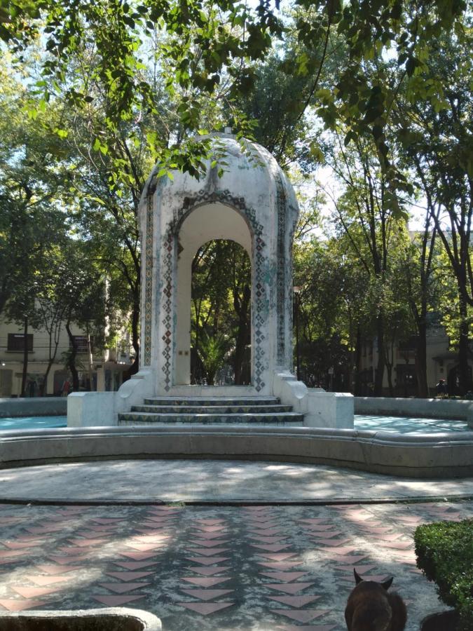 Charming Sunny Bedroom Overlooking Beautiful Amsterdam Avenue In Best Condesa Area Мехико Экстерьер фото